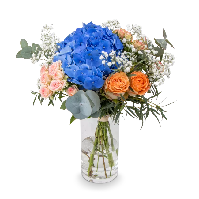 Bouquet of hydrangeas